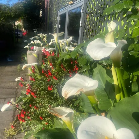 Pensjonat Loft Zen 2*