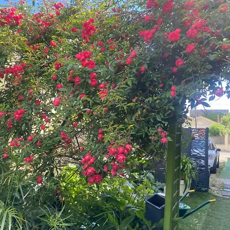 Loft Zen 2* Bordeaux