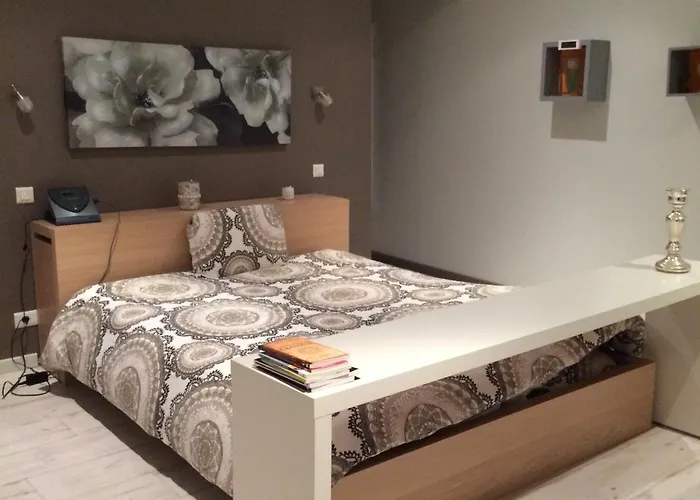 Loft Zen ゲストハウス ボルドー