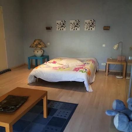 Loft Zen Guest house 2*