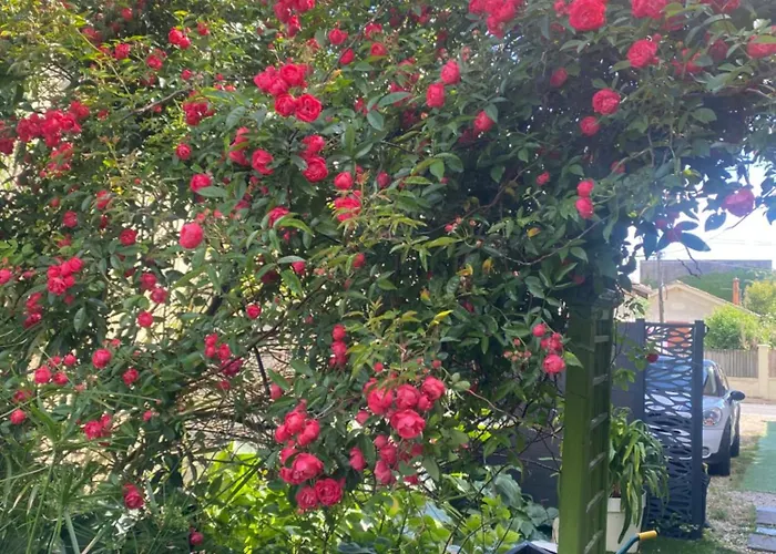 Loft Zen 2* Бордо